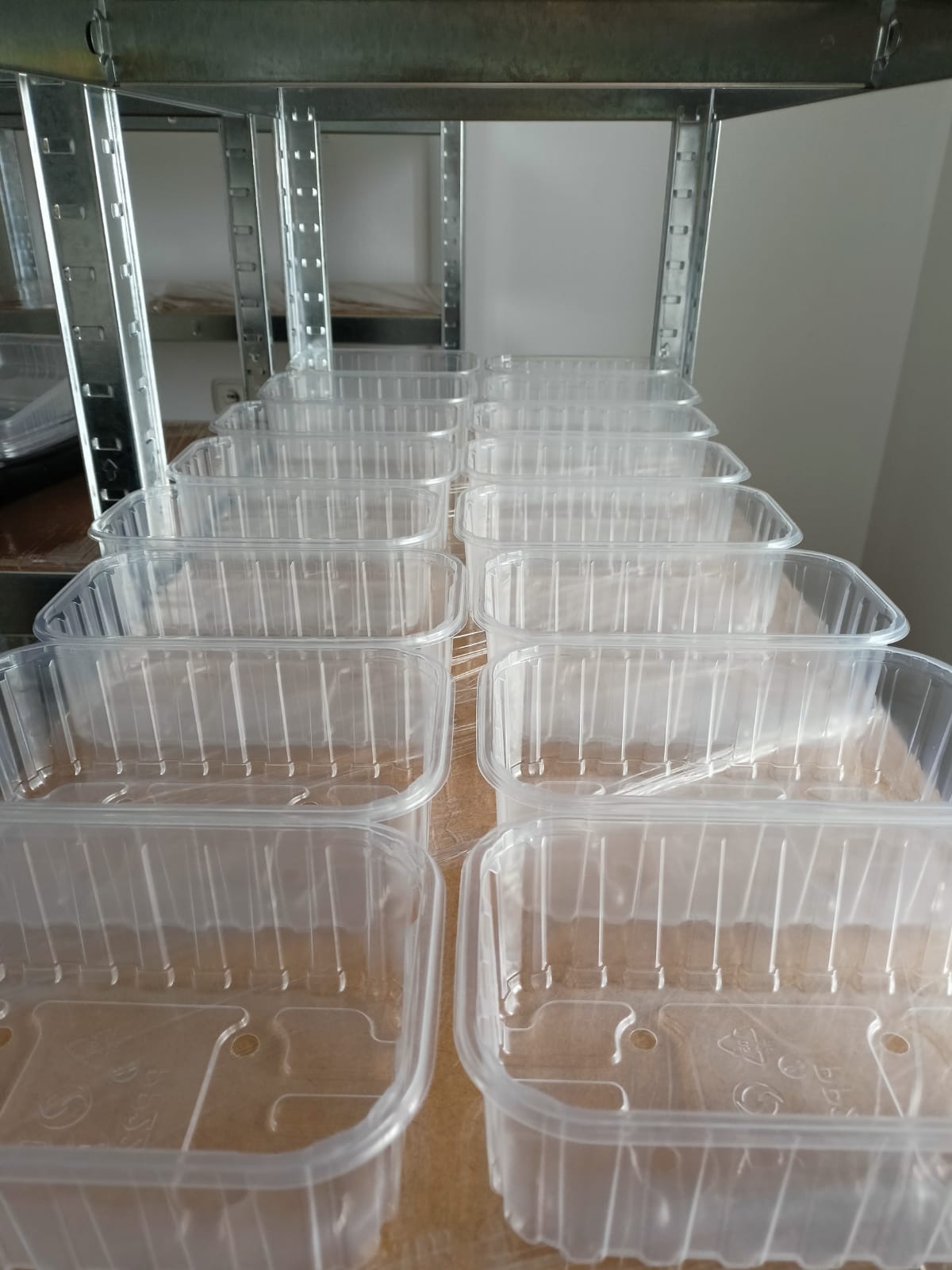 Rastoče mikrozelenje