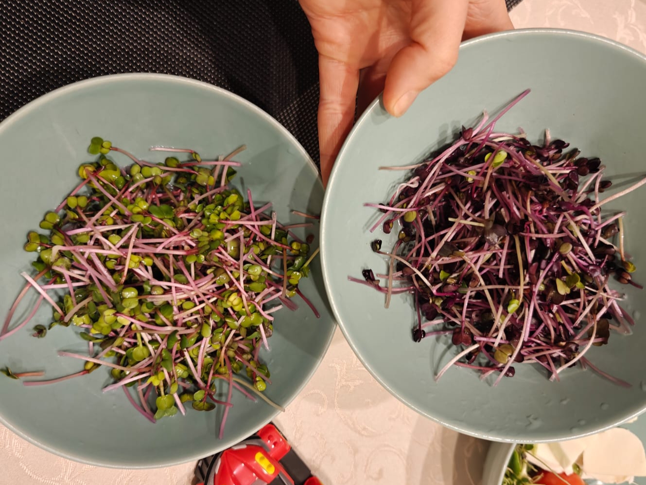 Narezano mikrozelenje